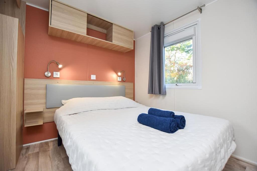 Apartament La Roseliere ❁ Piscine ❁ Tranquillite Saint-Hilaire-de-Riez Zewnętrze zdjęcie